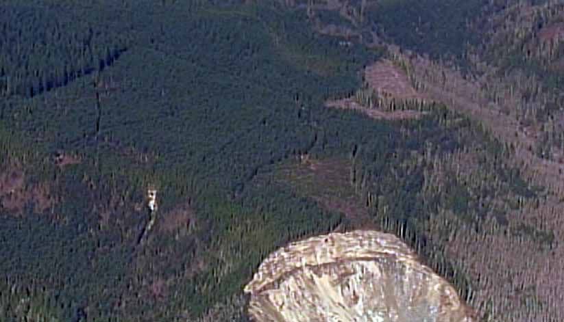 March 31, 2014: Chopper 7 was over the Oso landslide and the ongoing search for victims.