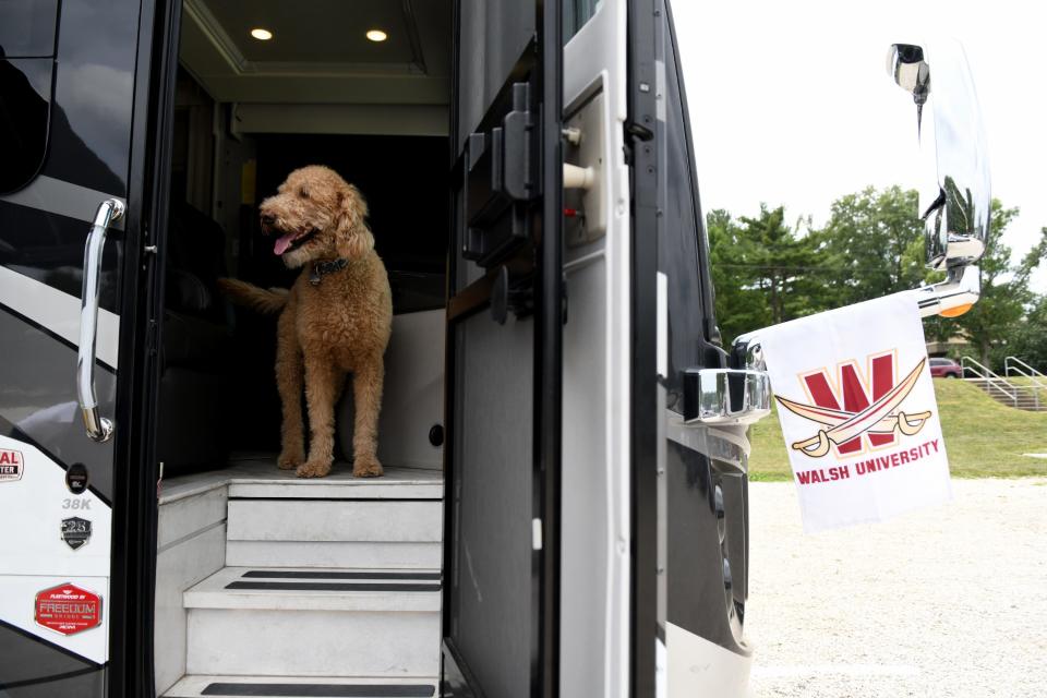 Duncan, the Francz family dog, hangs out during tailgating festivities Saturday at Larry Staudt Field on the Walsh University campus. It was the first time Walsh's football team played a game on campus since the program began in 1995.