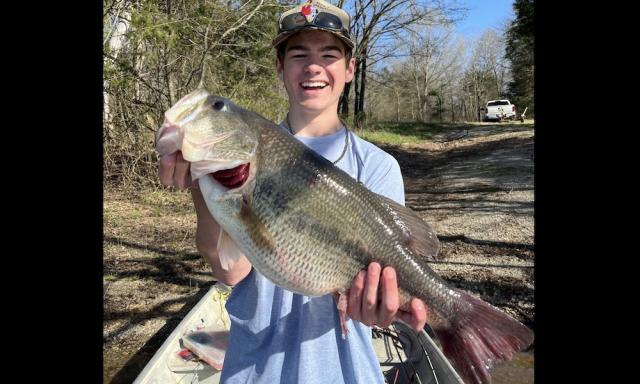 Crappie angler lands giant bass; 'I thought I was hooked on a log