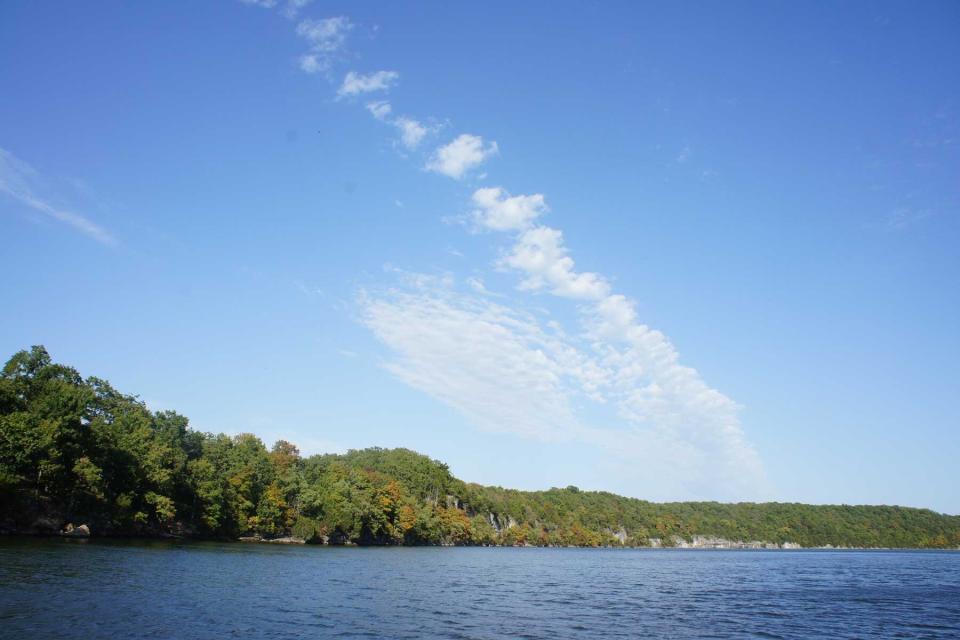 Blue skies, a green tree line along the lake of the Ozark in Missouri