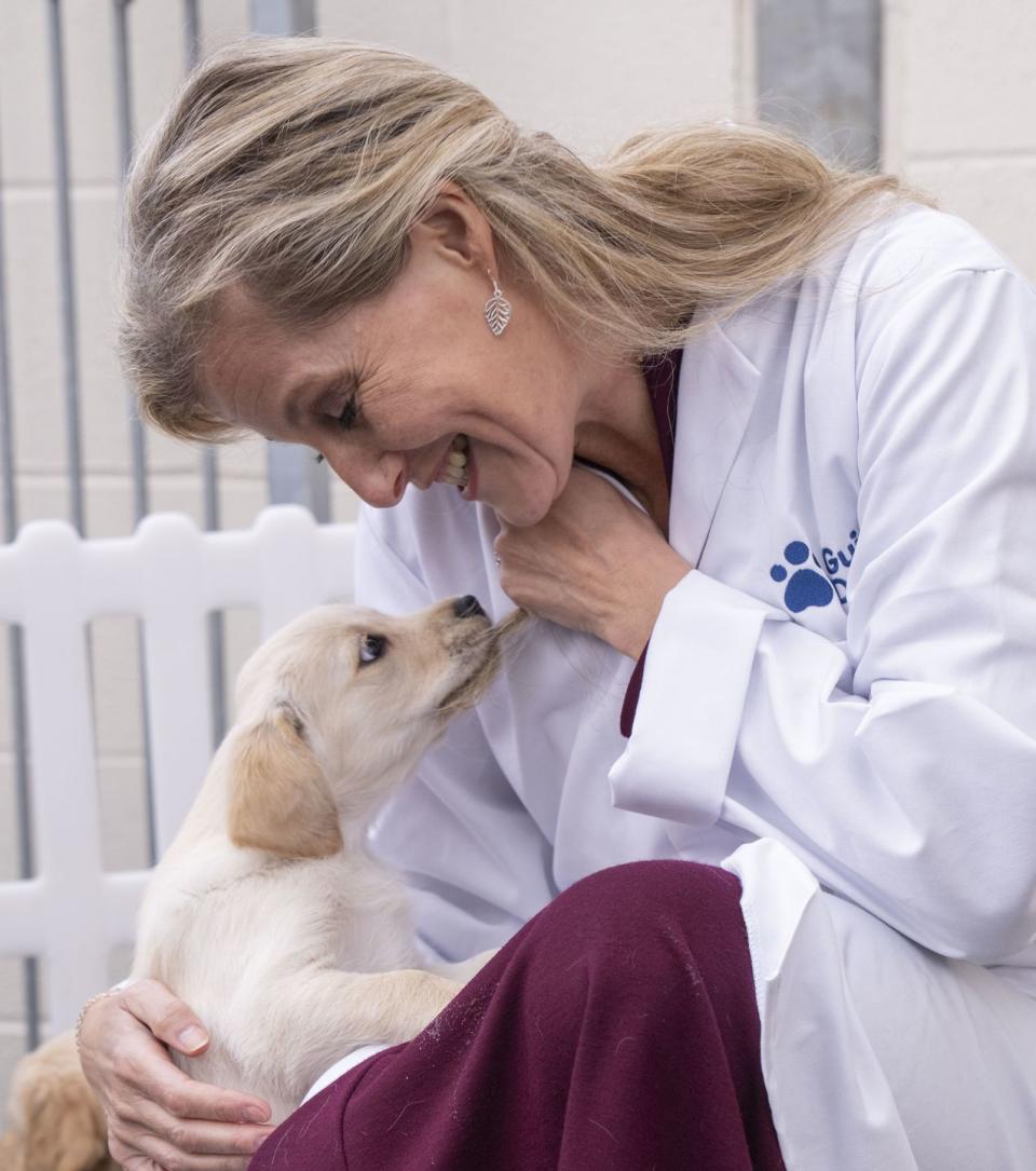 <p>Puppy PDA was on full display when Sophie, Countess of Wessex visited the Guide Dogs National Centre.</p>