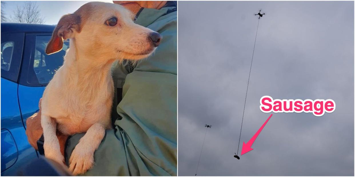 Dog rescued using sausage tied to drone