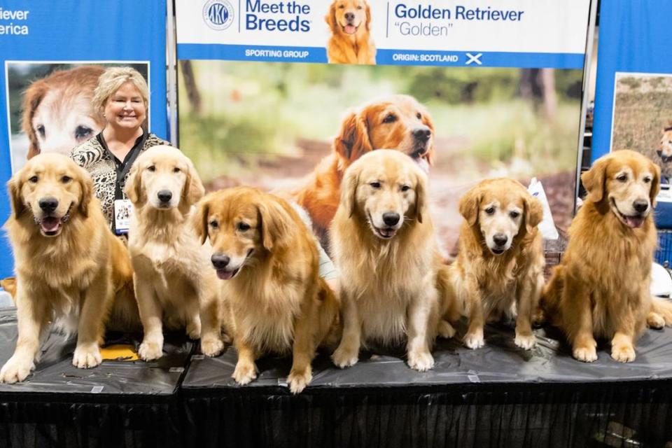 A photo from a previous Meet the Breeds event in San Diego, California.