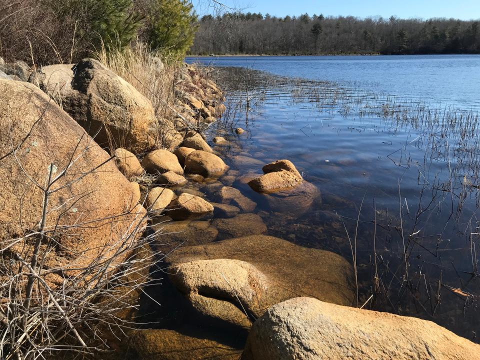 The water level in Blue Pond dropped several feet after a dam broke in 2010, draining water downstream and exposing a rocky shoreline.