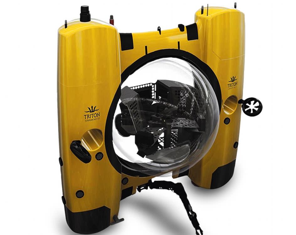 Just a small cost for a Triton Submarine three-person 36000/3 submersible, which can reach depths of 36,000 feet.