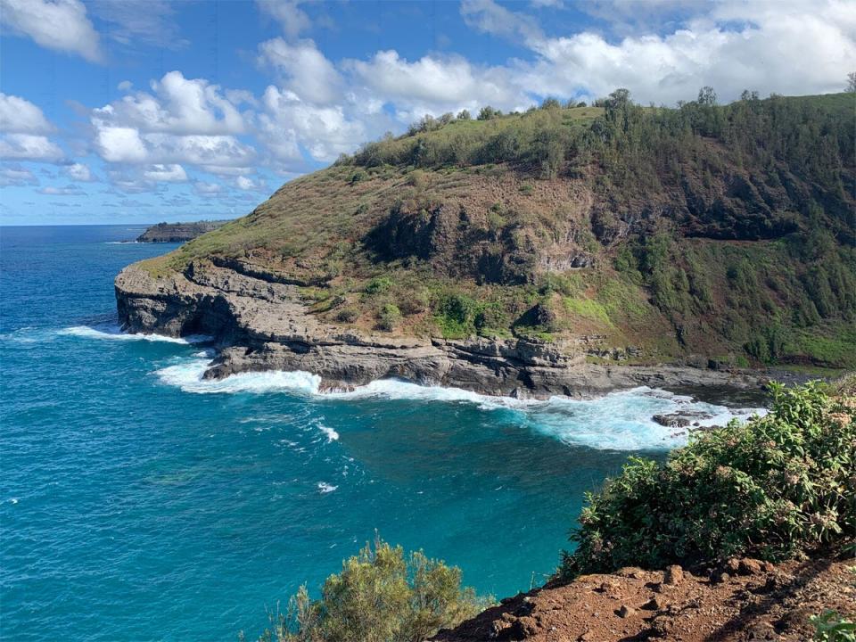 coastal view on hawaiian island