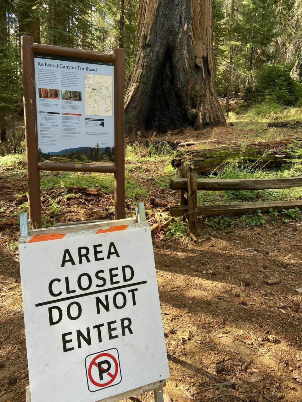 Trails in the Redwood Canyon area of Kings Canyon National Park remain off limits to the general public as a result of the 2021 KNP Complex fire, though park officials will grant access to those who request it.