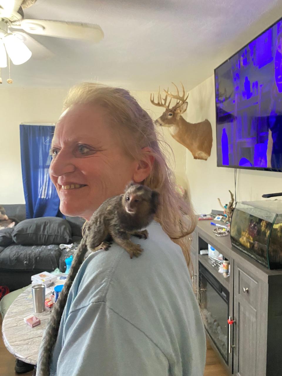 Renee Booher allows Miles a marmoset to sit on her shoulder. He was returned to her and Michael Olar by the Humane Society of Richland County after the couple agreed to surrender dogs the agency seized Saturday that Olar had rescued from Richland County puppy mills. The couple's four family dogs also were returned to them.