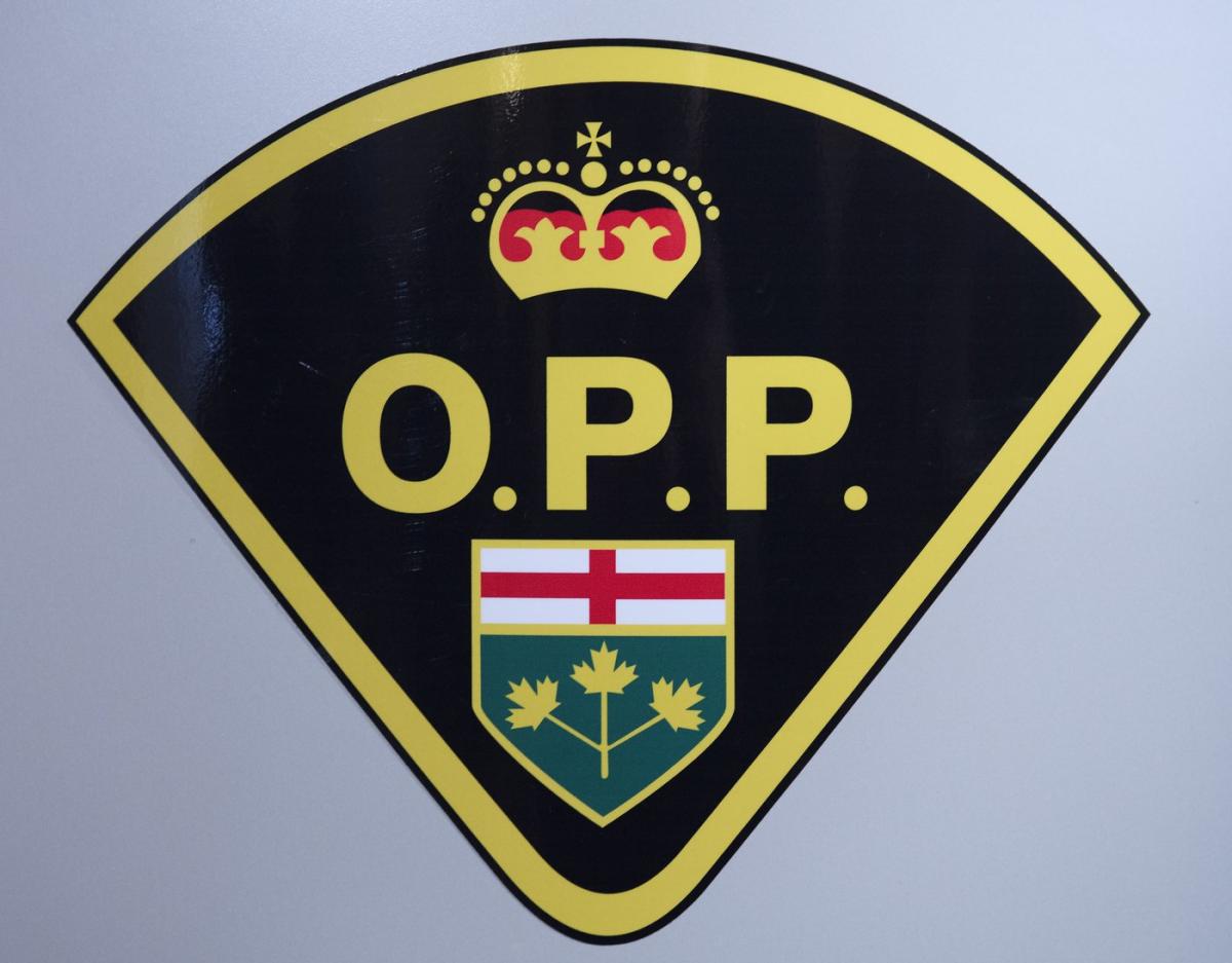 Ontario carjacking taskforce says stolen vehicles recovered, multiple arrests made