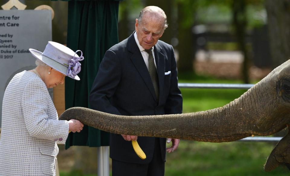 Prince Philip watches as his wife Queen Elizabeth II feed an elephant named ‘Donna’ after opening the new Centre for Elephant Care at ZSL Whipsnade Zoo in 2017 (AFP via Getty)