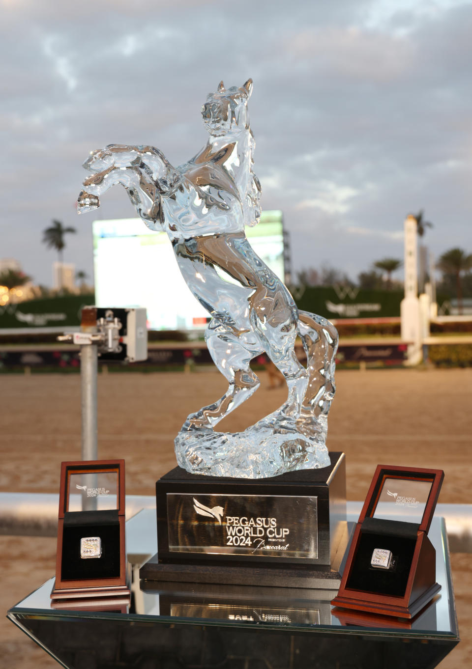 HALLANDALE, FLORIDA - JANUARY 27: View of the Pegasus World Cup 2024 Baccarat Trophy at the Baccarat Lounge during the 2024 Pegasus World Cup Presented By Baccarat at Gulfstream Park on January 27, 2024 in Hallandale, Florida. (Photo by Alexander Tamargo/Getty Images for 1/ST)