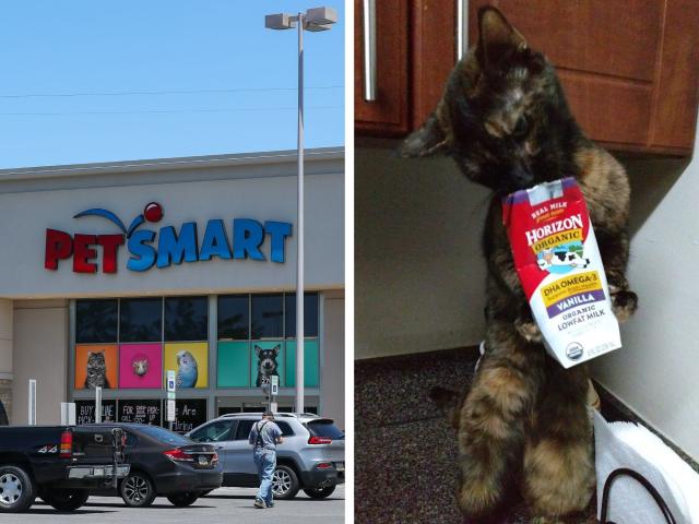 PetSmart TV Spot, 'Cats and Dogs' 