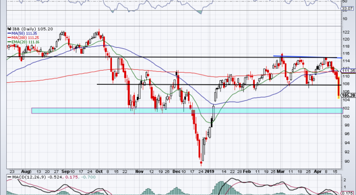 Top stock trades for IBB