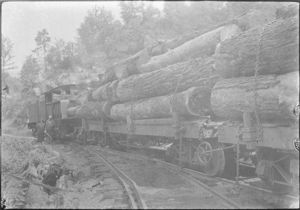 A load of logs harvested by the Little River Lumber Company leaves Elkmont circa 1925. Much of Great Smoky Mountains was logged prior to the creation of the national park.