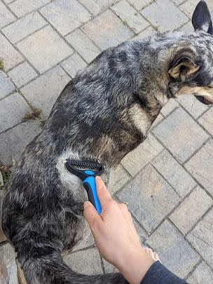 A double-sided brush for removing knots and tangles in your pet's coat