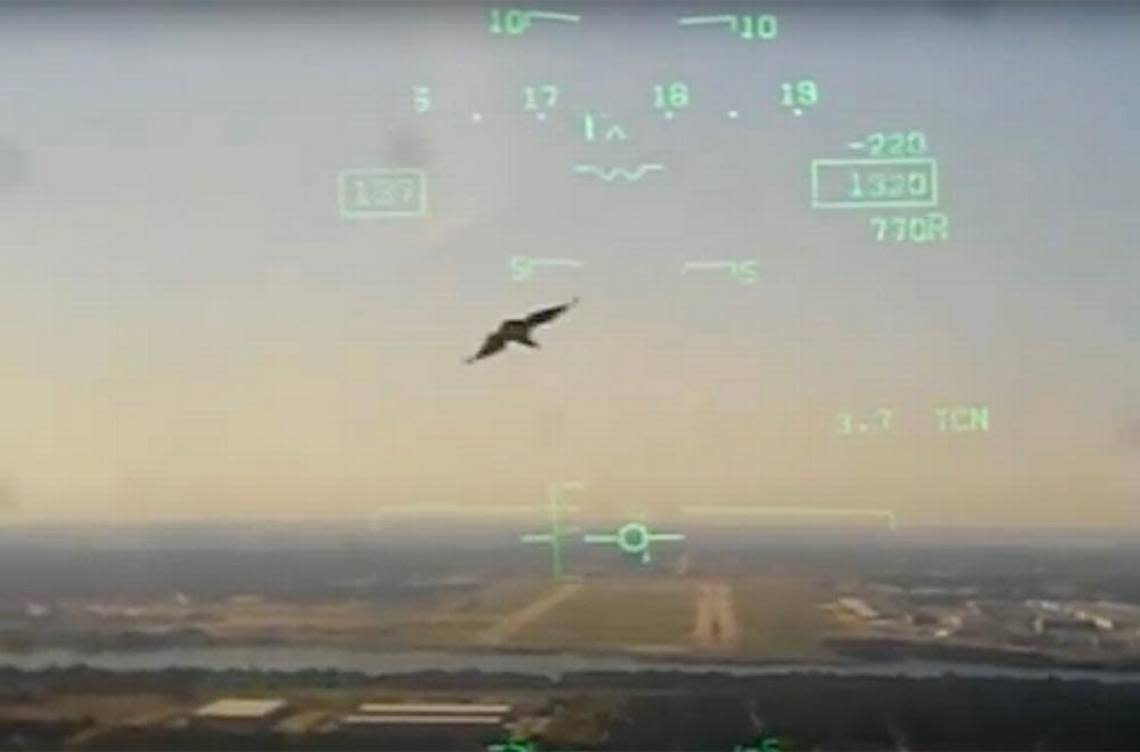 A video taken from the cockpit of a Navy T-45C Goshawk training jet shows the moment before a large bird was struck on approach to Naval Air Station Joint Reserve Base Fort Worth on Sept. 19, 2021. The plane crashed 30 seconds after hitting the bird.