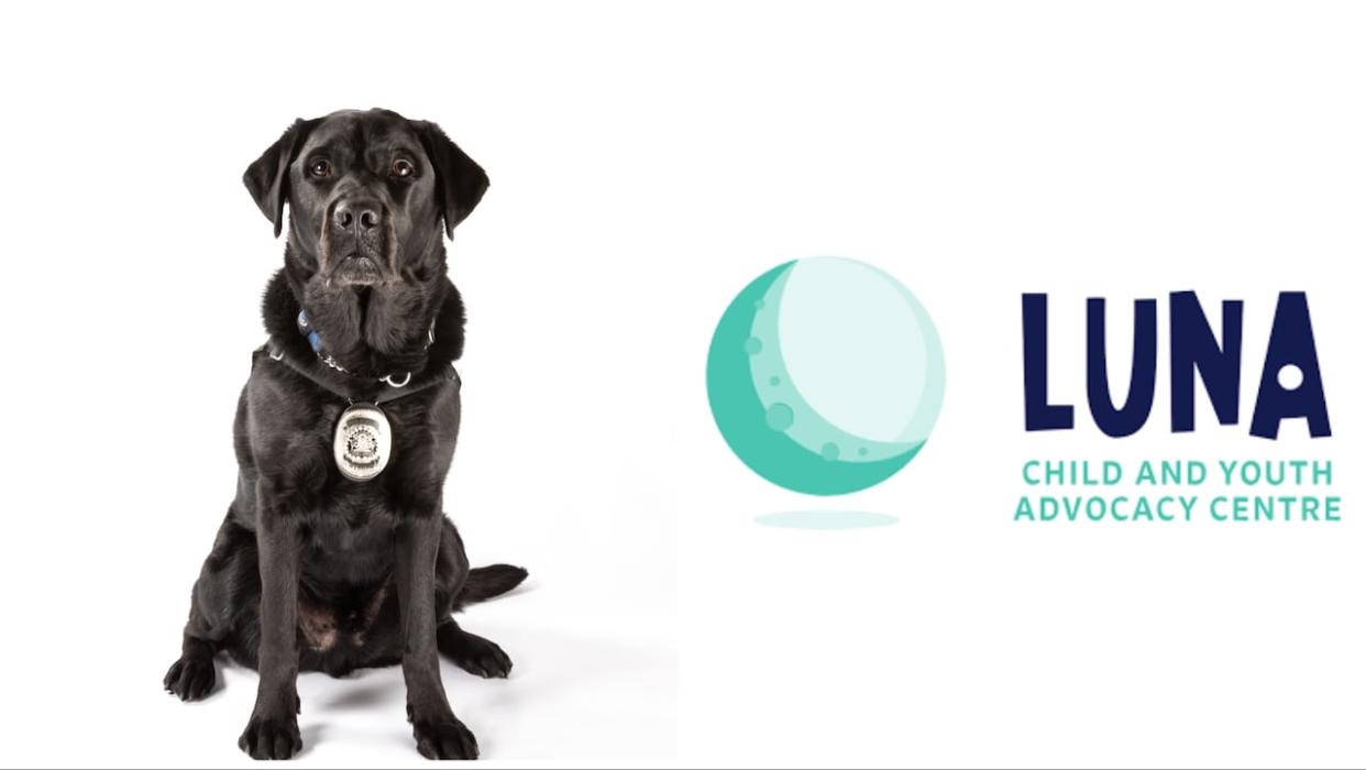 The Alberta Crown's office has issued a directive to prosecutors to keep certain cases away from a Calgary judge after comments were made about child witnesses who use the supports of dogs and the Luna Child and Youth Advocacy Centre.  (Calgary Police Service, Luna Centre - image credit)