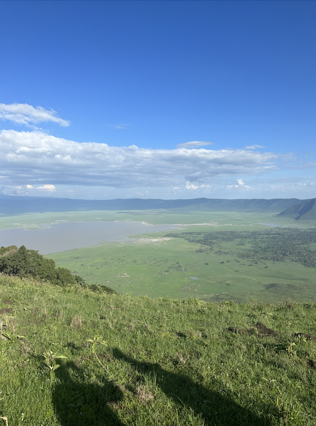 various photos from the ngorongoro crater