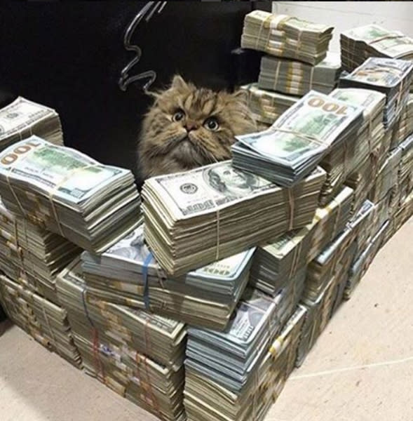 <p><b>Husch, husch, ins Körbchen!</b><br>Das arme Kätzchen! Herrchen hat den Korb vergessen. Aber mit Geld kann man ja bekanntlich fast alles machen – auch Schlafplätze für Stubentiger bauen. Da hat Lucy – so der Name des vermögenden Tierchens – ja noch einmal Glück gehabt. (Bild: Instagram/millionaires.paradise)</p>