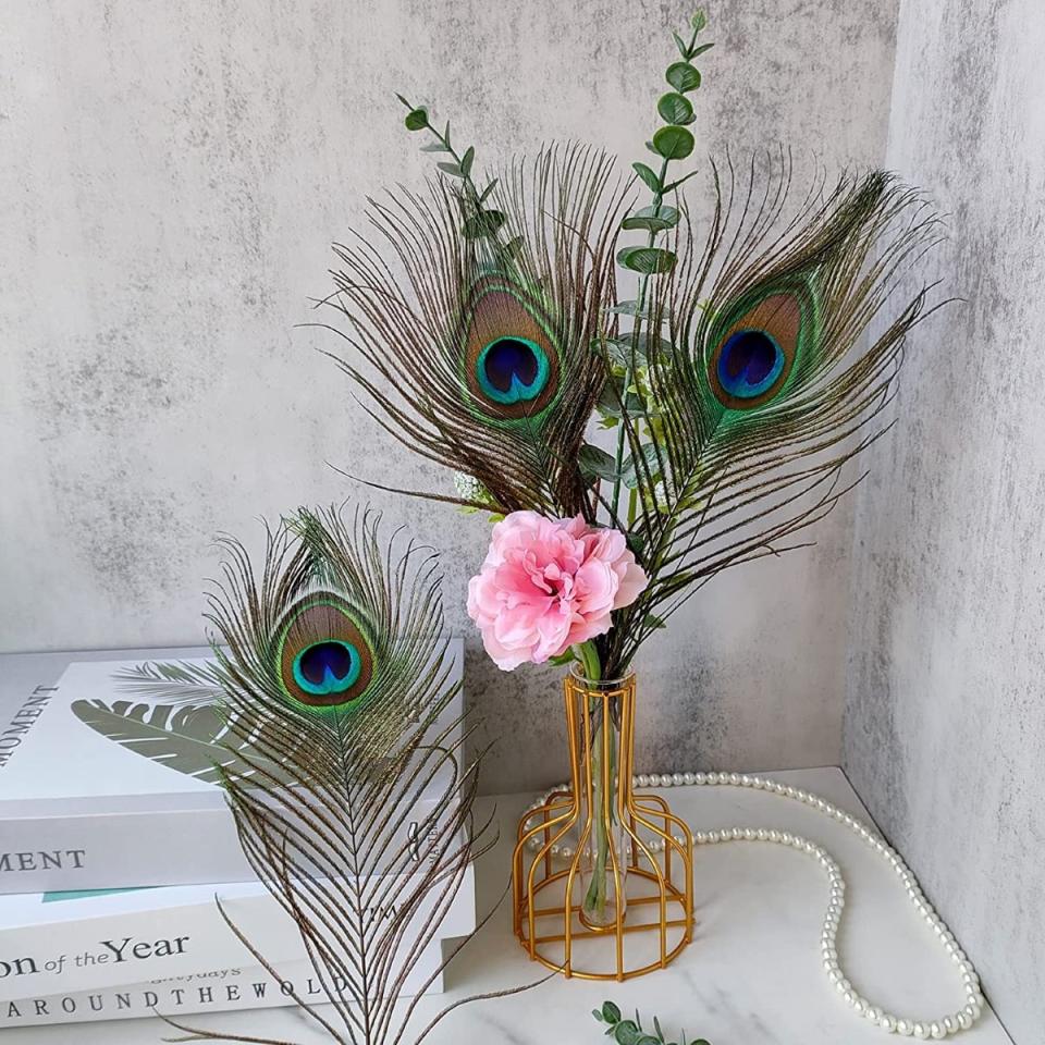 Peacock feather decor in a vase