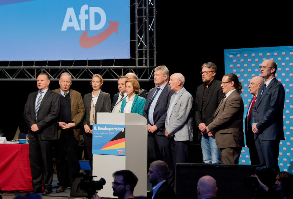 AfD (Alemania)