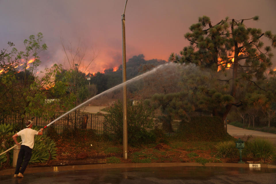 A homeowner attempts to water down a tree on his property while a wildfire burns in the hills just north of the San Gabriel Valley community of Glendora, Calif. on Thursday, Jan 16, 2014. Southern California authorities have ordered the evacuation of homes at the edge of a fast-moving wildfire burning in the dangerously dry foothills of the San Gabriel Mountains. (AP Photo/Nick Ut)