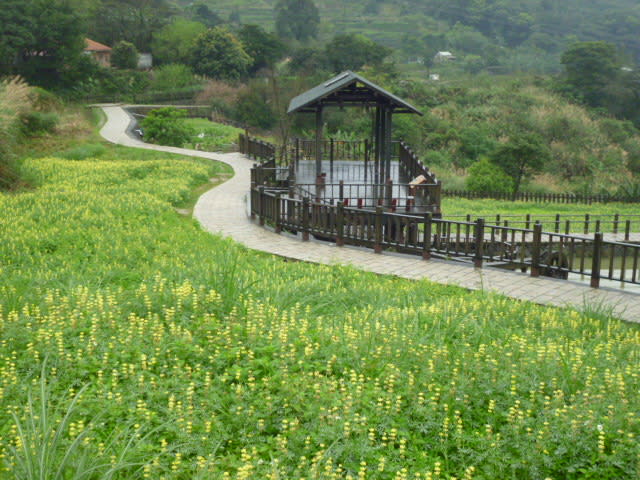 樟樹步道彩雲亭（圖片來源：台北旅遊網）