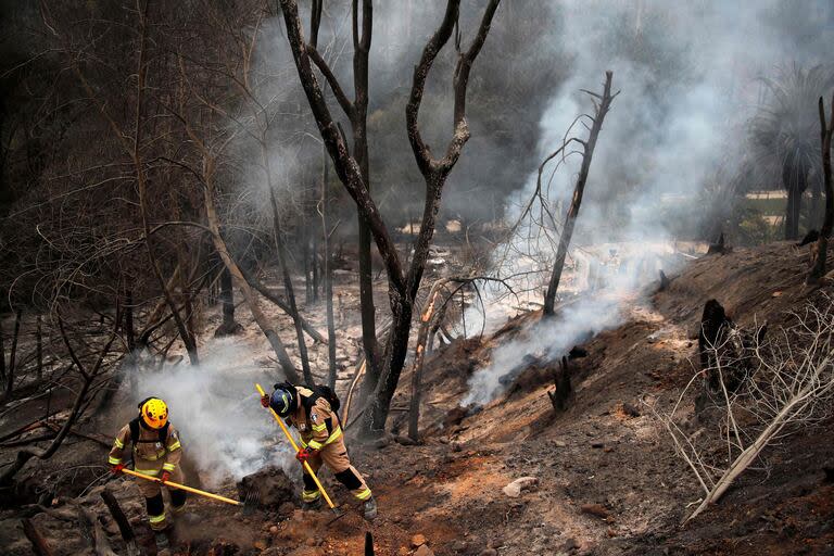 Los bomberos trabajan en el Jardín Botánico tras el incendio forestal en Viña del Mar, el 4 de febrero de 2024.