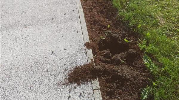 A path where plants have been removed