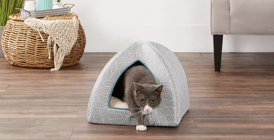 Fluffy and Fido will fight over who gets to sleep in this luxe igloo. (Photo: Chewy)