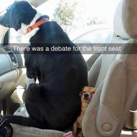 The struggle over the front seat is real!