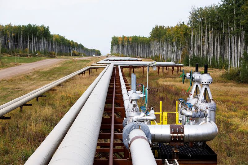 FILE PHOTO: Pipelines run at the McKay River Suncor oil sands in-situ operations near Fort McMurray.