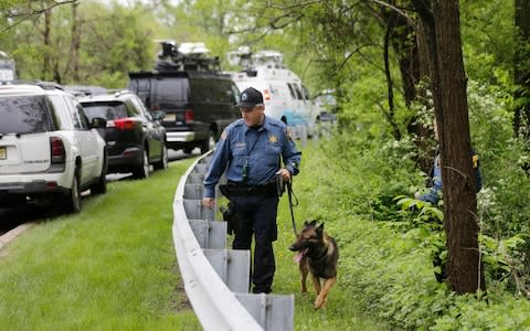 A K-9 unit searches near the scene of the crash - Credit: Seth Wenig/AP