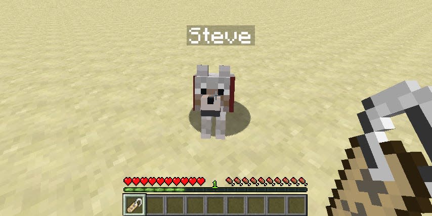 How To Use A Name In Minecraft To Customize Your Favorite Npcs