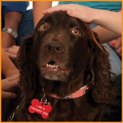 Roxy Reading Therapy Dogs