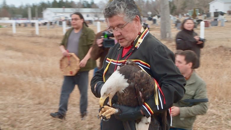 Injured bald eagle released back into wild going full circle for Mi'kmaq elder