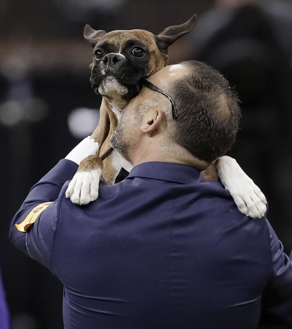 141st Westminster Kennel Club Dog Show