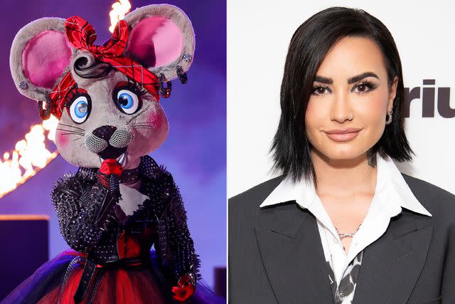 <p>Trae Patton / FOX; Santiago Felipe/Getty</p> Demi Lovato as Anonymouse