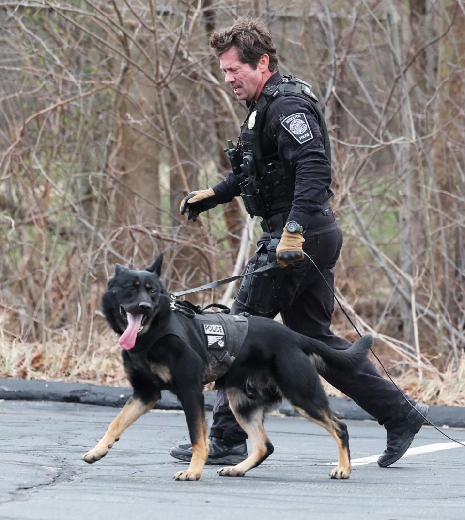 Brockton Police Officer Bob DiLiddo and K-9 Kilo investigate a stabbing of a 14-year-old boy behind Cardinal Spellman High School on Court Street on Friday, April 5, 2024. Police said the stabbing had nothing to do with the school.