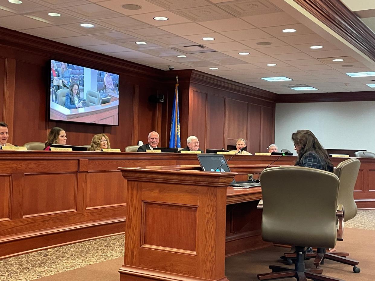 Rep. Tamara St. John, R-Sisseton, speaks in front of the House State Affairs committee about a bill to establish an Indian Child Advisory Council on Wednesday, Feb. 14, 2024.