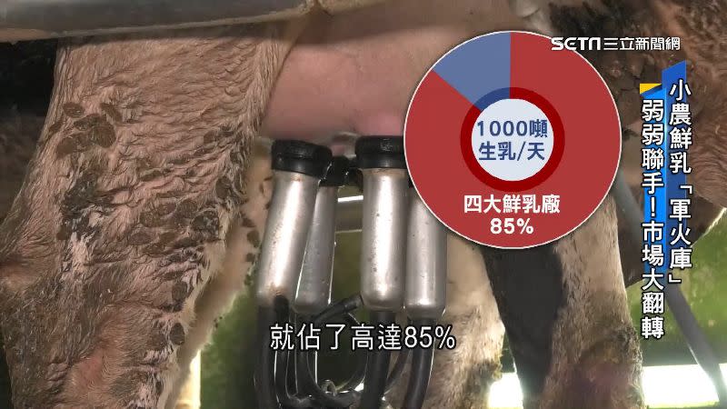 每天生產1000噸的生乳，前四大鮮乳廠就佔了高達85%，小型酪農戶根本無力生存。