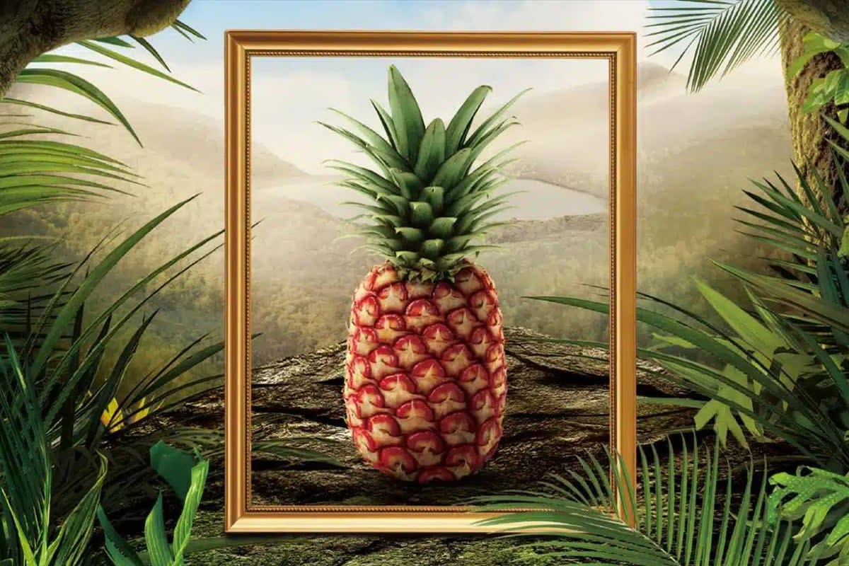 The exclusive Rubyglow Pineapple is being sold for just under $400 by California grocery retailer Melissa’s Produce  (Del Monte)