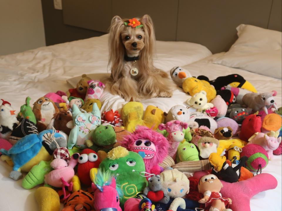 Vicky Nina surrounded by her toysMarco Ojeda