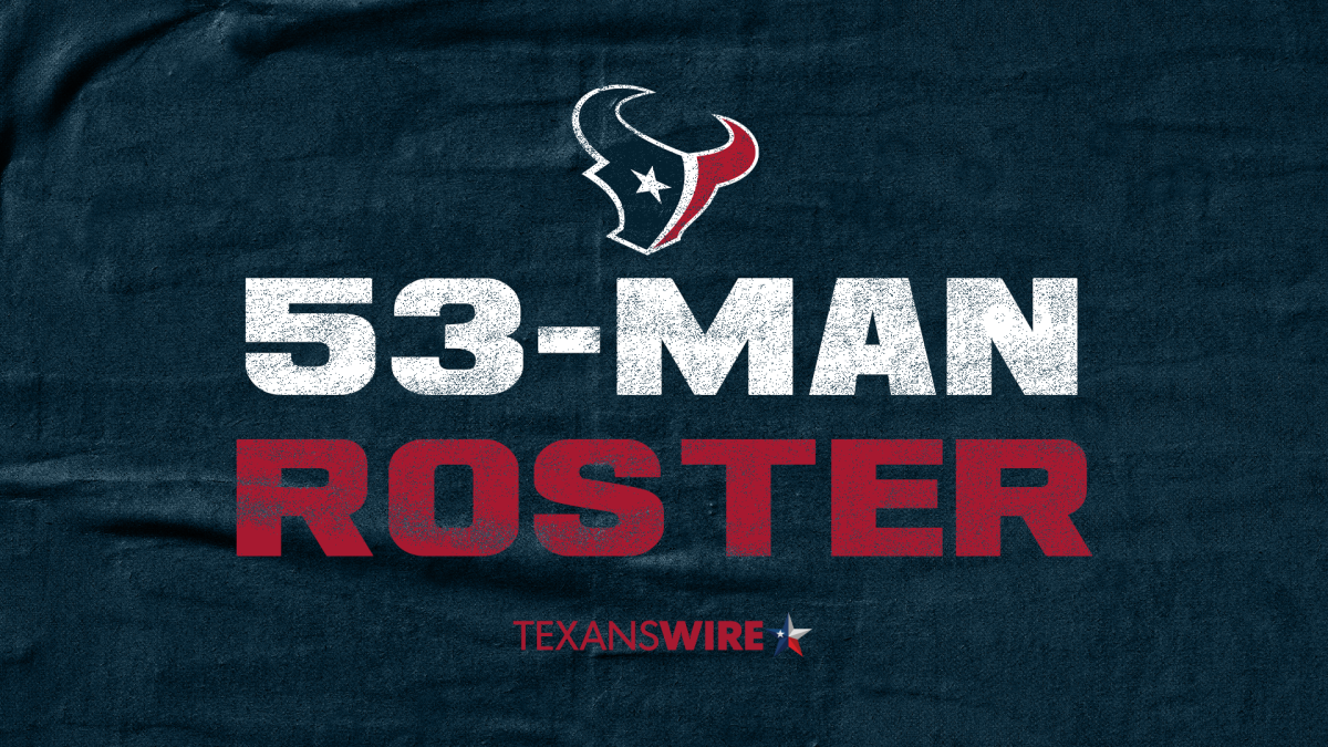 houston texans afc south champions