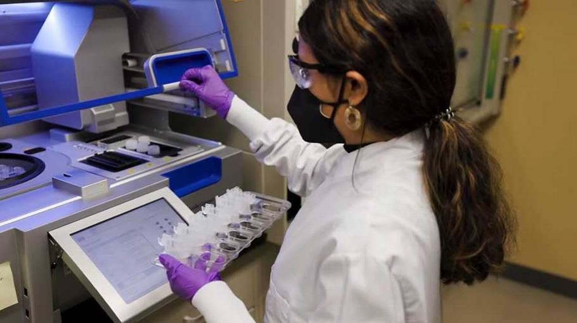 A researcher loads samples of wastewater for COVID-19 analysis at Stanford University. In some parts of California, COVID-19 is in sewage at record-high levels, indicating coronavirus cases may be as bad as in the original omicron surge.