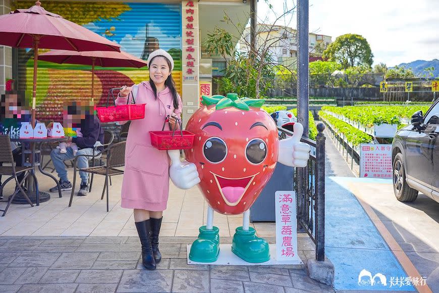 苗栗大湖｜滿意高架牛奶蜜草莓農場