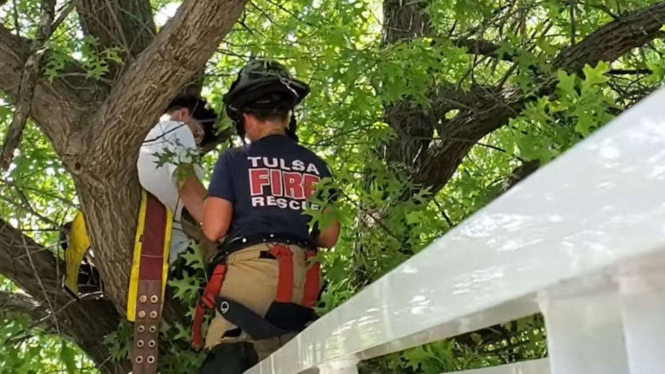 Die Feuerwehr musste einen Mann vom Baum retten, der seine Katze vom Baum retten wollte. (Screenshot: Tulsa Fire Department)