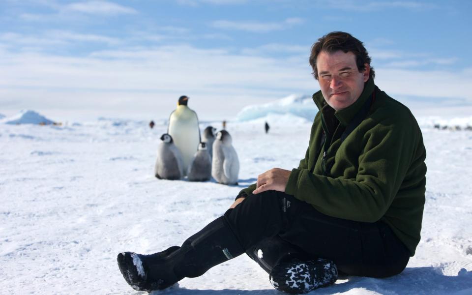 'I spend a lot of time in the polar regions, and I’ve seen that climate change is happening faster than anyone predicted - and it’s terrifying' - Alastair Fothergill / Silverback / Netflix