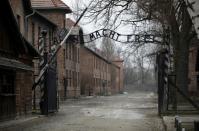 76th Auschwitz liberation commemoration held virtually amidst COVID pandemic