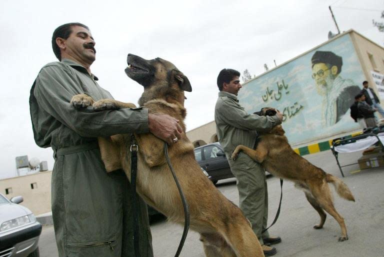 Iranian police trainers play with their sniffer dogs, in the easrn city of Zahedan, on December 2, 2003. Guard dogs, sheep dogs and hounds have always been acceptable in Iran, but the soaring number of pets acquired by a middle class keen to imitate Western culture has alarmed the authorities in recent years